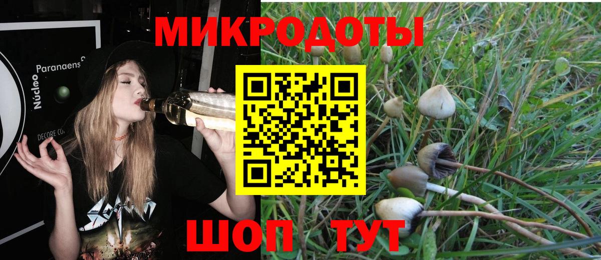 Псилоцибиновые грибы Пыть-Ях