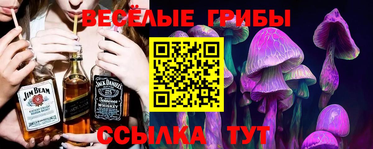 Пыть-Ях  где купить   Вход с VPN  Псилоцибиновые грибы Cubensis  Галлюциногенные грибы мицелий 