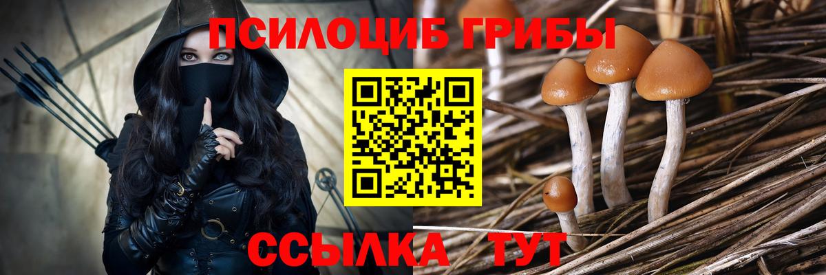 Псилоцибиновые грибы мухоморы Пыть-Ях